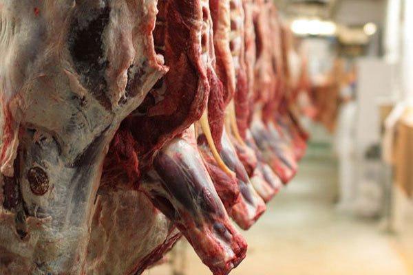 مشکلی در بازار گوشت قرمز نداریم مشکلی در بازار گوشت قرمز نداریم