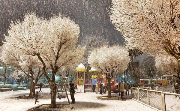 پیش بینی شرایط آب و هوای تهران فردا سه شنبه 28 دی 1400