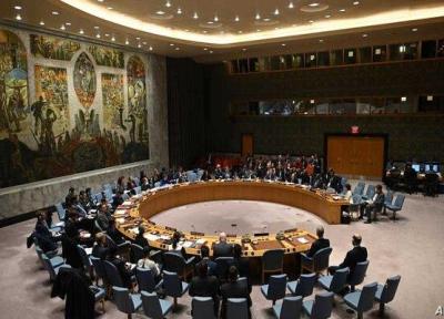 درخواست کشورهای غربی برای نشست شورای امنیت درباره کره شمالی