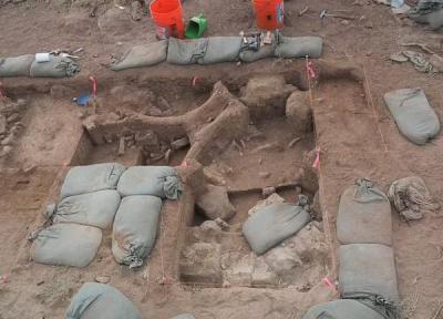 تور مکزیک: انسان ها 17 هزار سال زودتر از آنچه قبلاً تصور می شد در آمریکای شمالی ساکن شدند: استخوان های ماموت که در یک قصابخانه باستانی در نیومکزیکو پیدا شد