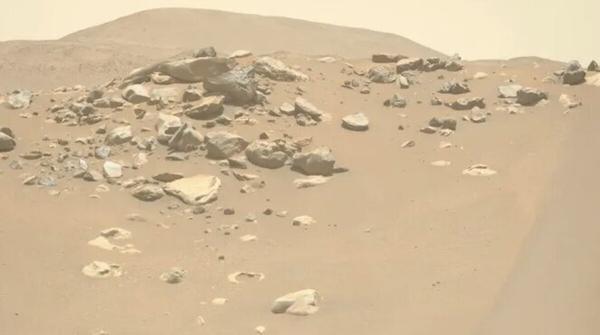 دیده شدن کوسه در مریخ!